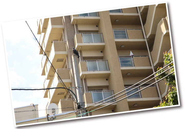 売却したいマンション